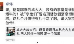 卓伟爆料李鬼们视频,揭秘娱乐圈虚假炒作背后的黑幕